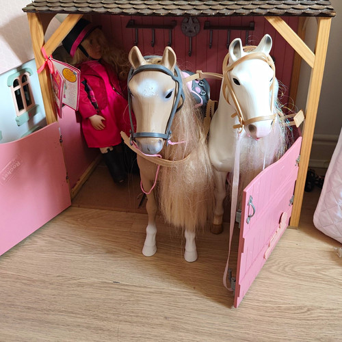 Our generation saddle - generation, saddle-up